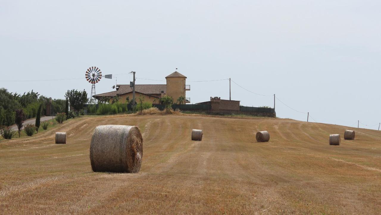 Il Granaio Del Pavone Vila Nepi Exterior foto